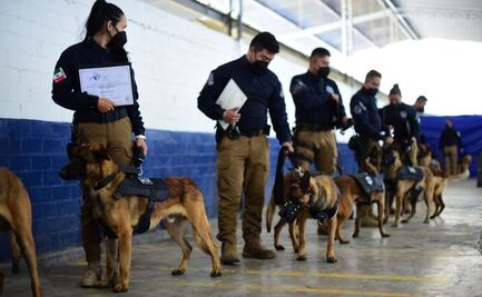 Unidad canina recibe certificación internacional en Puebla 