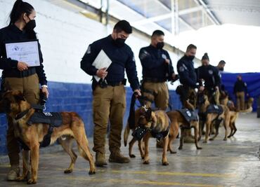 Unidad canina recibe certificación internacional en Puebla