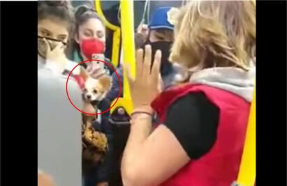 VIDEO: Por traer un perrito, pasajeros y mujer pelean en el Metrobús