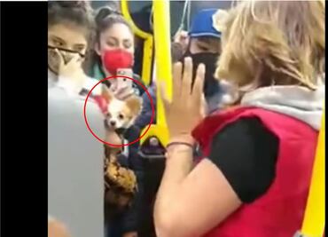 VIDEO: Por traer un perrito, pasajeros y mujer pelean en el Metrobús