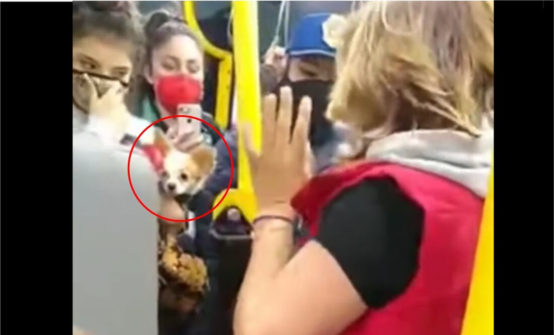 FOTO: tomada de TikTok/ EL UNIVERSAL/