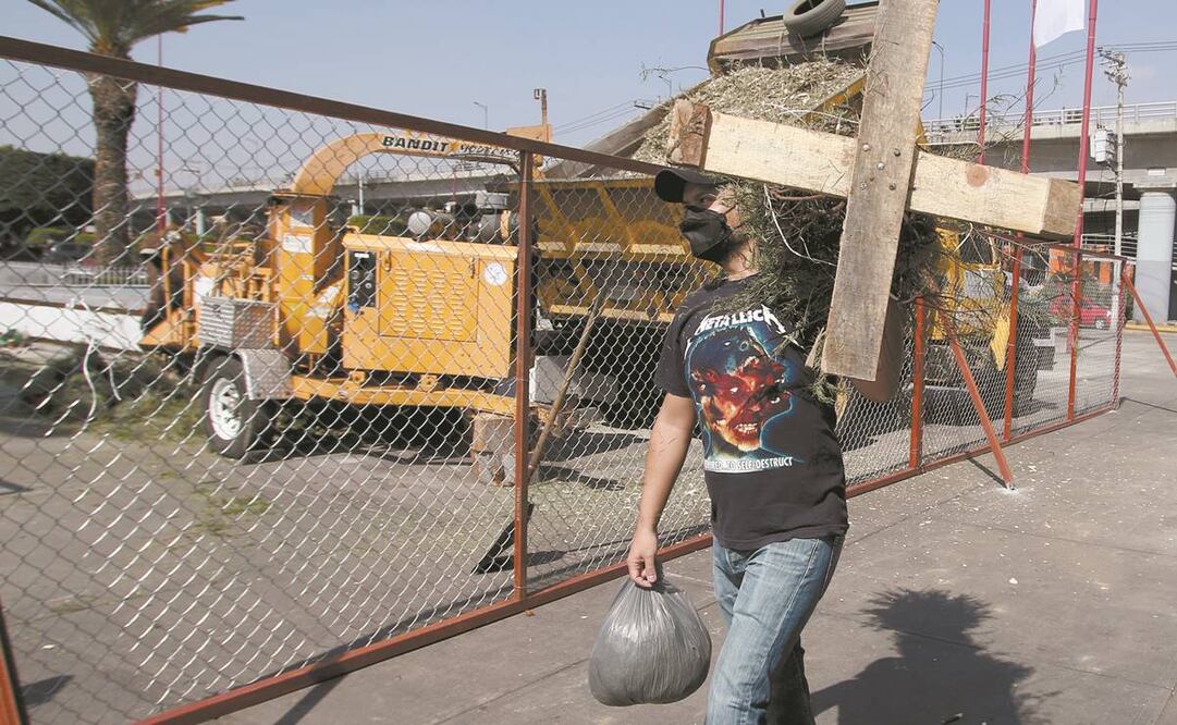 Desde hace 12 años que Isaac Calderón participa en estas jornadas de reciclaje de pino, tras las fechas decembrinas;sobre sus hombros el árbol y se le puede ver atravesar desde Eje 3 Oriente, en Venustiano Carranza. Foto: Carlos Mejía/ EL UNIVERSAL.