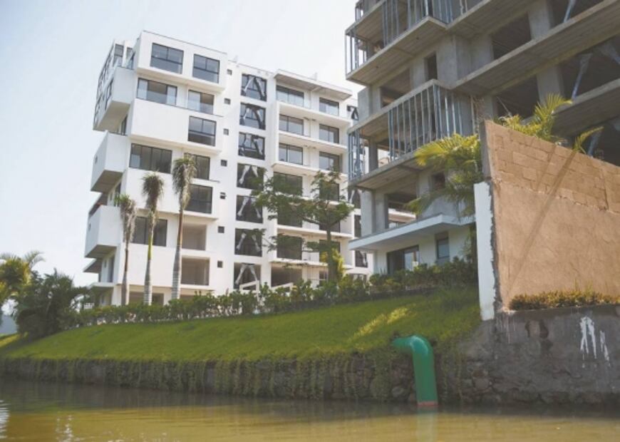 Urbanismo amenaza a manglar de Boca del Río