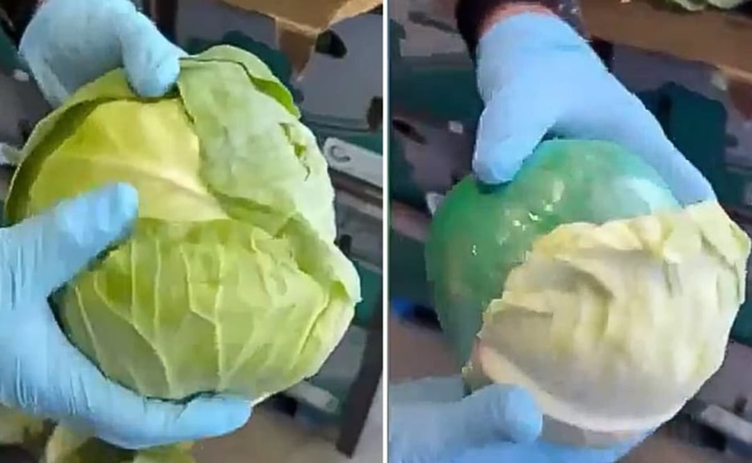 Camuflajeadas en bolas plásticas y aparentando ser coles, agentes de la DEA en McAllen, Texas decomisaron más de 2 mil libras de metanfetaminas
(10/09/26)
Foto: Especial.