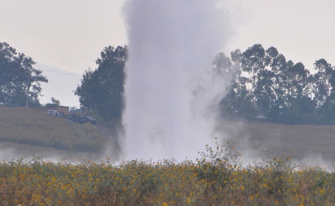 Fuga por ordeña clandestina. (Foto: Archivo. EL UNIVERSAL)