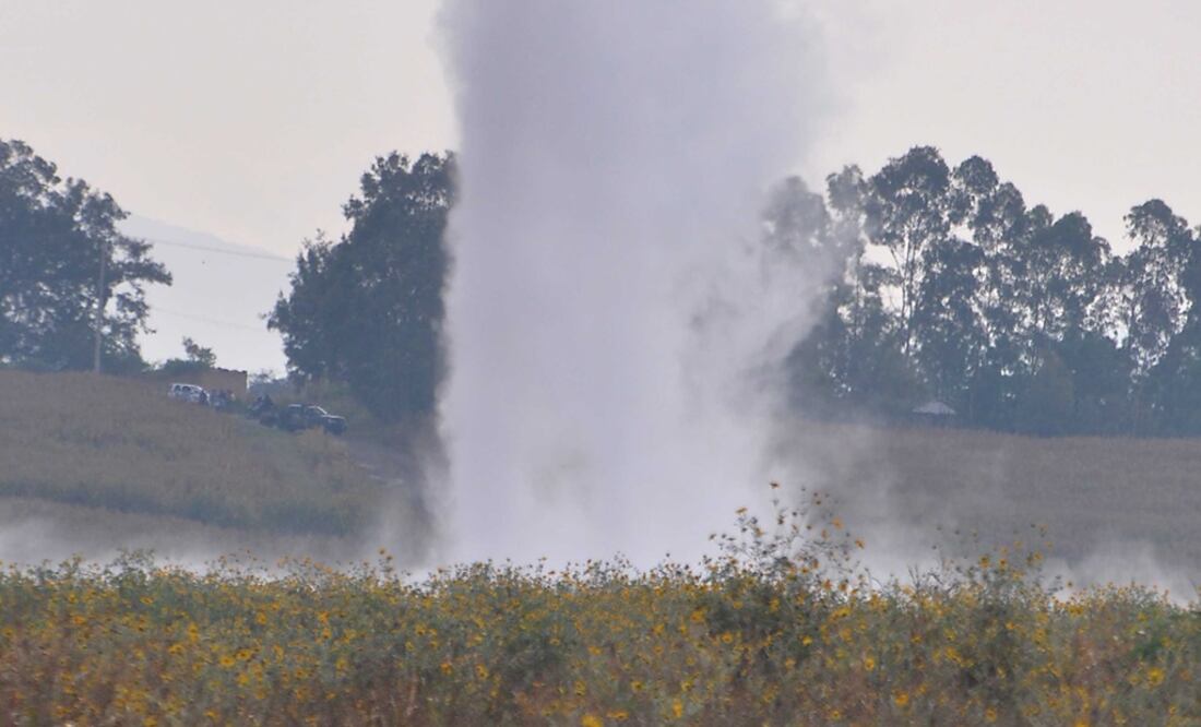 Fuga por ordeña clandestina. (Foto: Archivo. EL UNIVERSAL)