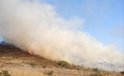 Servicios de emergencia sofocan incendio de pastizales en Atizapán de Zaragoza