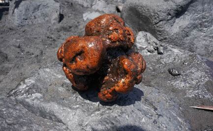 La piedra valorada en 500 mil dólares que encontraron dentro de un cachalote muerto en España