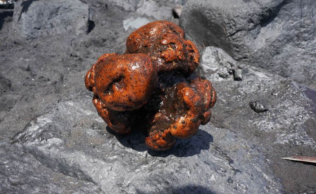 La piedra "valorada en 500 mil dólares" que encontraron dentro de un cachalote muerto en España