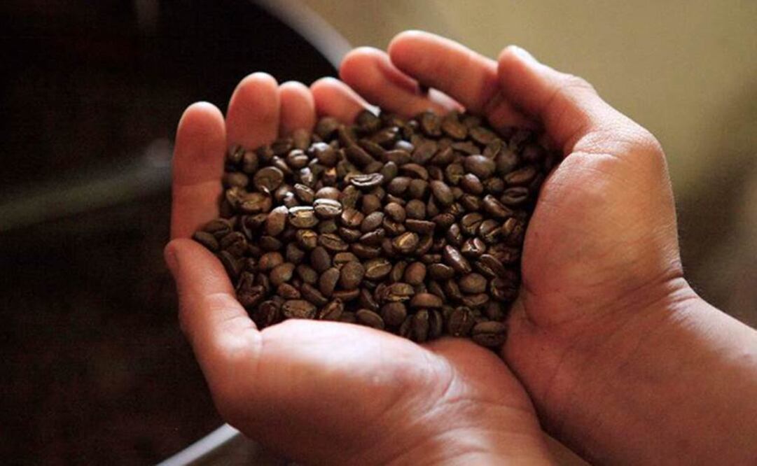 El consumo del café reduce el riesgo de cáncer colorrectal