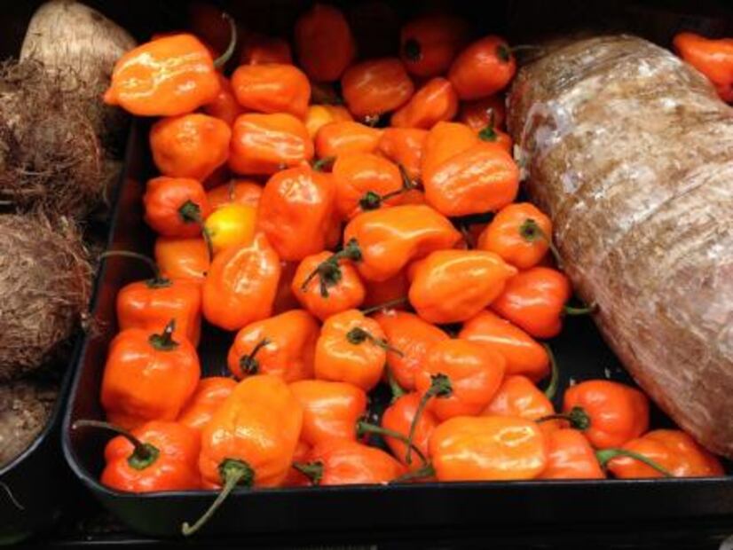 Este chile quita los dolores de cabeza y hasta la gripe 