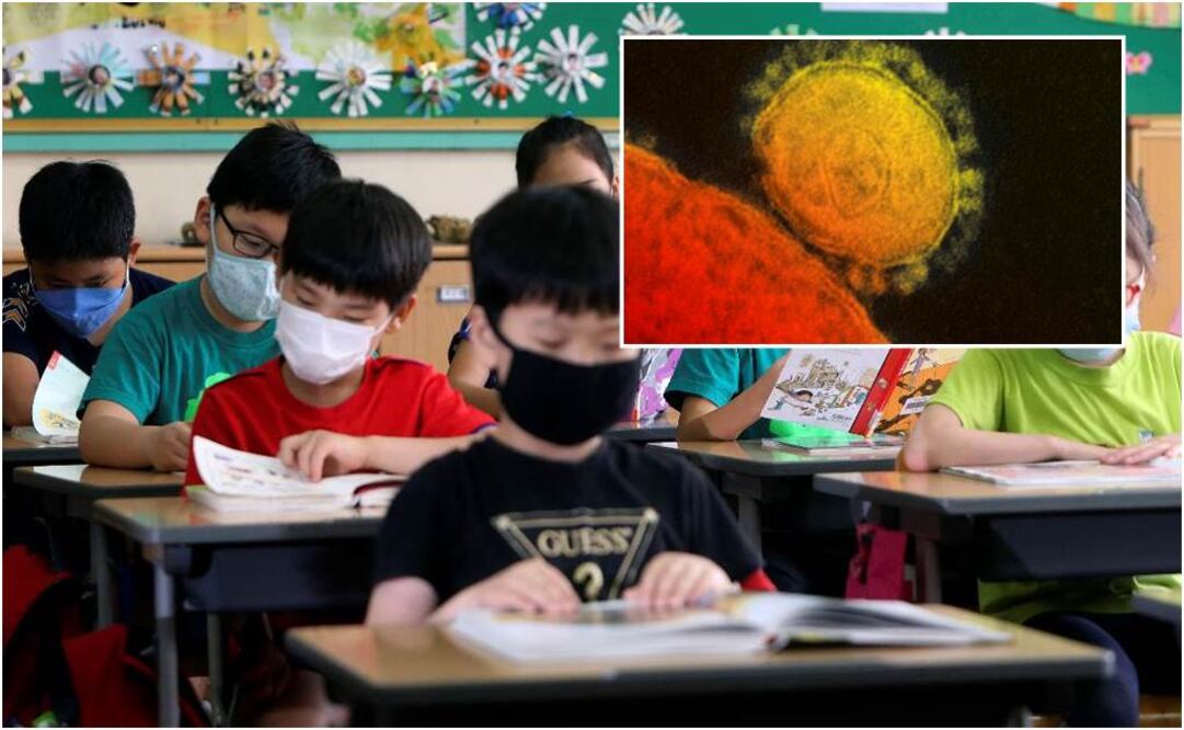 Entérate: ¿Qué es el coronavirus-MERS?