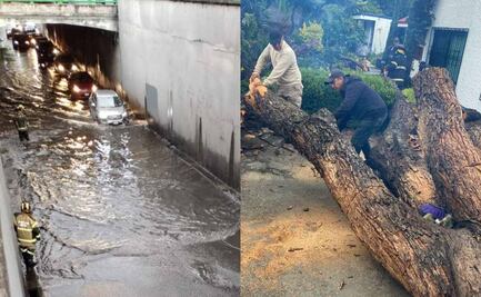 Lluvias causan inundaciones y caída de árboles en 4 alcaldías