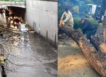Lluvias causan inundaciones y caída de árboles en 4 alcaldías