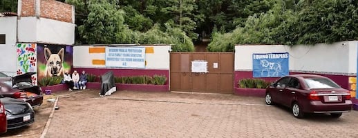 El ABC... Z de las reglas para refugio de animales