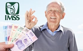 Pensión IMSS 2026: ¿cuándo caerá el depósito del mes de agosto?; esto dice el calendario oficial 