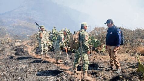 Incendio forestal en la zona de los Potros fue intencional: Tepotzotlán