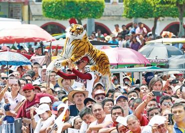La percepción ganadora y las encuestas falsas