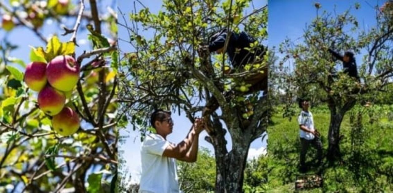 Armando Cajero: se va uno de los jóvenes talentos de la cocina mexicana