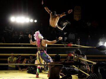 AAA wrestlers to participate in Vive Latino music festival