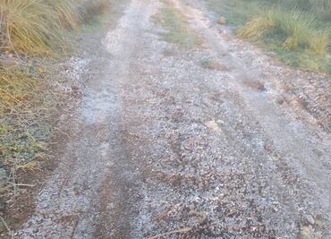 Reportan bajas temperaturas y heladas leves en 16 municipios de Puebla; no hay afectaciones