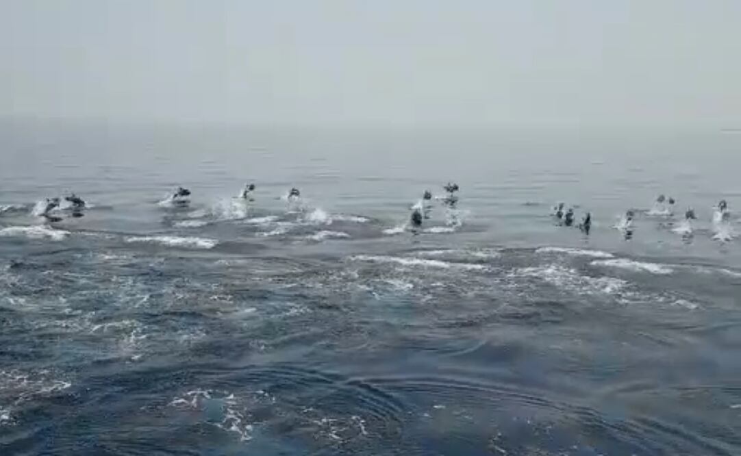 (Foto: tomada de video)