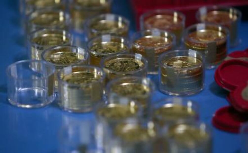 Construyen en Alemania el árbol más caro de Europa