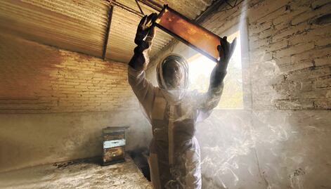 Miel adulterada, un peligro para la salud