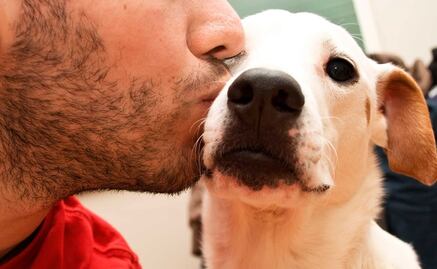Alertan de enfermedades de perros transmisibles a humanos