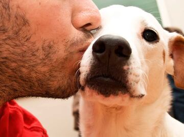 Alertan de enfermedades de perros transmisibles a humanos