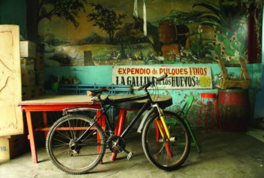 Jóvenes al rescate del tradicional pulque