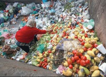 Desperdicio de alimentos genera pérdidas mundiales de 400 mil mdd: FAO