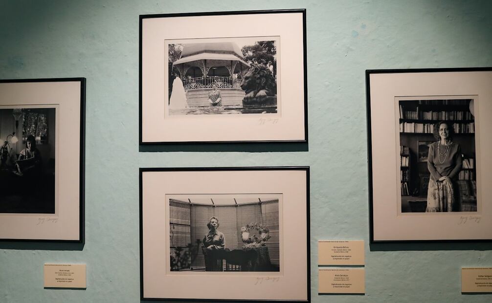 Recorrido de la exposición Imagen del hechizo de Barry Domínguez, en el Museo José Luis Cuevas.Foto: Hugo Salvador/ El Universal.