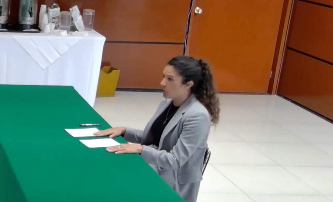 Bertha Alcalde durante su entrevista ante el Comité Técnico para elección de candidatos a consejero electoral del INE. Foto: Captura