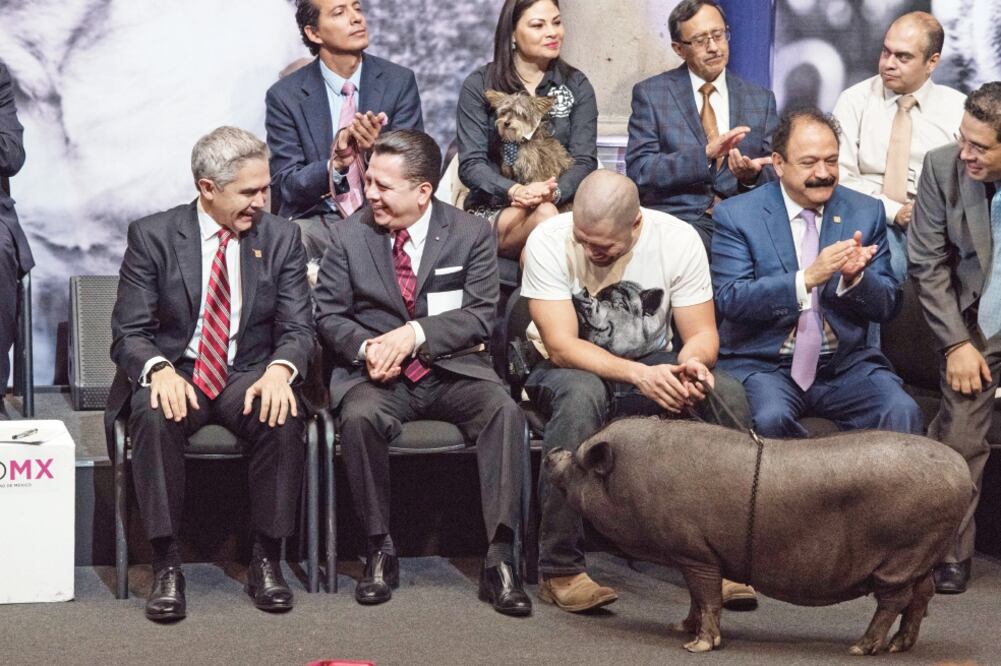 Acompañado por representantes de ONG, Miguel Ángel Mancera entregó una iniciativa para clausurar de manera definitiva los sitios donde se realicen peleas de perros (TERCERO DÍAZ. CUARTOSCURO)