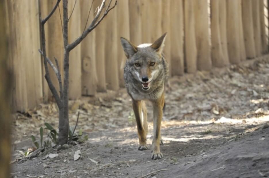 Actividades para niños en vacaciones por menos de 100 pesos