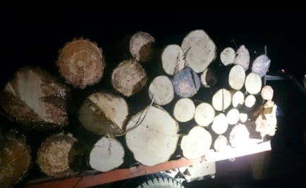 Aseguran 41.9 metros cúbicos de madera en 3 estados