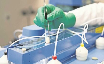 ¿Qué se sabe sobre el efecto rebote por el medicamento Paxlovid?