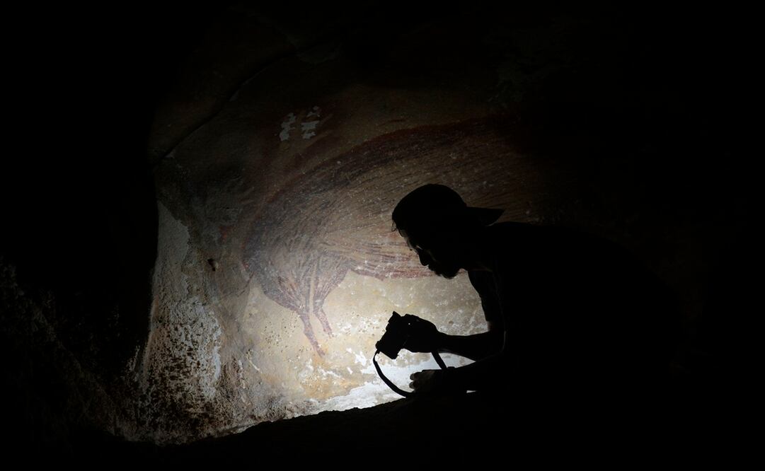 Foto: AFP PHOTO /ADHI AGUS OKTAVIANA/GRIFFITH UNIVERSITY/HANDOUT