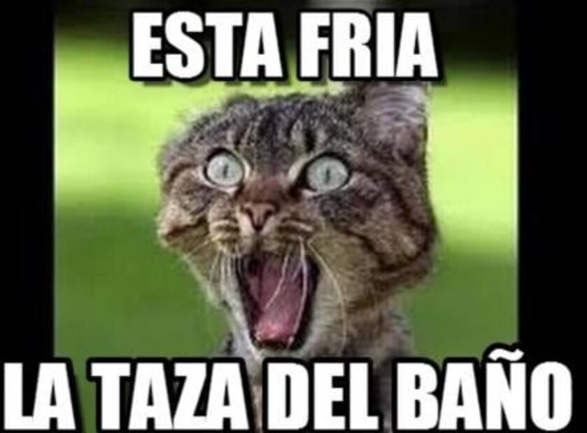 Los mejores memes para soportar las bajas temperaturas en la capital 