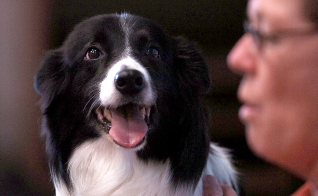 Foto: Archivo / EL UNIVERSAL