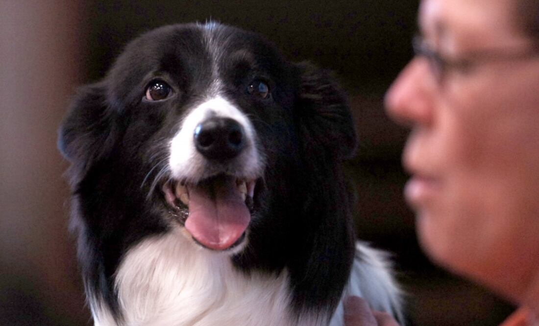 Foto: Archivo / EL UNIVERSAL