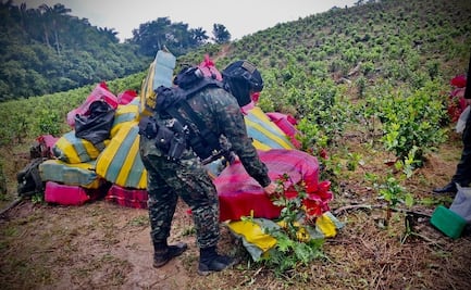 Incautan más de 11.6 toneladas de marihuana en Colombia; droga tenía como destino final Brasil