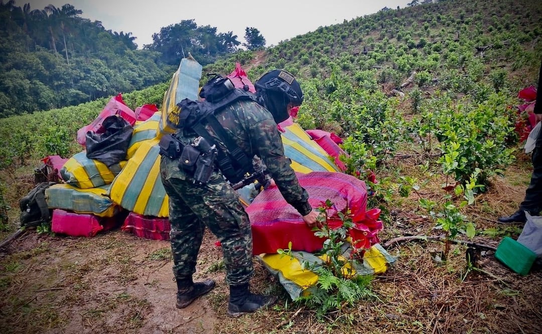 Militares del Ejército colombiano inspeccionan los paquetes de marihuana incautados durante la operación militar. Foto: @COL_EJERCITO.