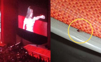 VIDEO: Captan chinches en concierto de Matisse en el Auditorio Nacional y se viraliza en redes
