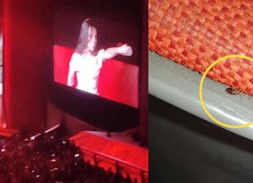 VIDEO: Captan chinches en concierto de Matisse en el Auditorio Nacional y se viraliza en redes