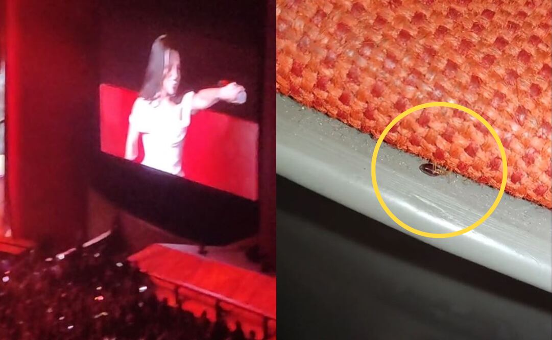 Captan chinches en concierto de Matisse en el Auditorio Nacional. Foto: Captura de video