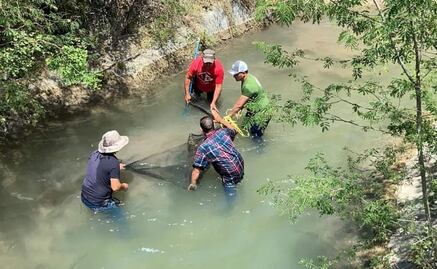 Capturan cocodrilo en río de Nuevo León