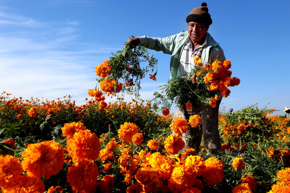 Archivo / EL UNIVERSAL