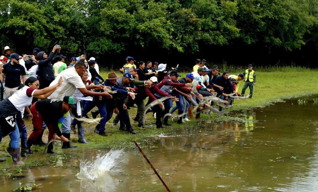 La especie -indicó el Ejecutivo en una nota de prensa- cayó en "peligro crítico de extinción" debido a la "sobreexplotación de la caza furtiva para su tráfico": Foto: X @JosueLorcaV
